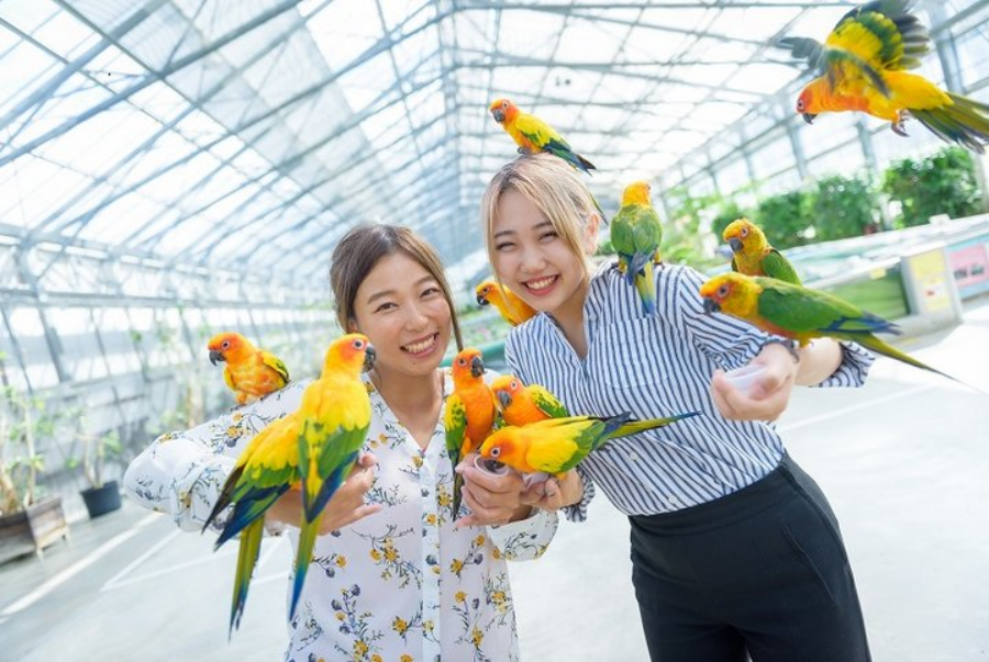 시즈오카 가케가와 화조원 입장권