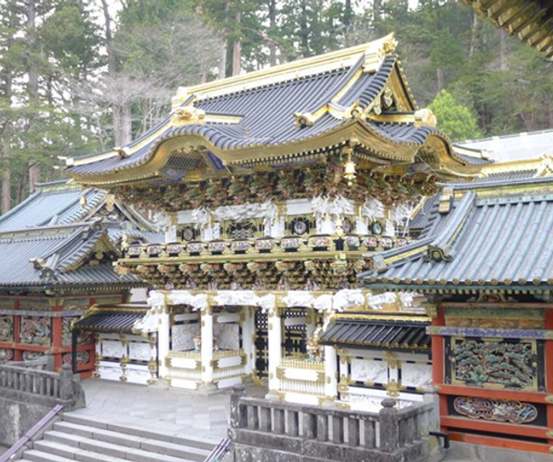 activity_detail_image