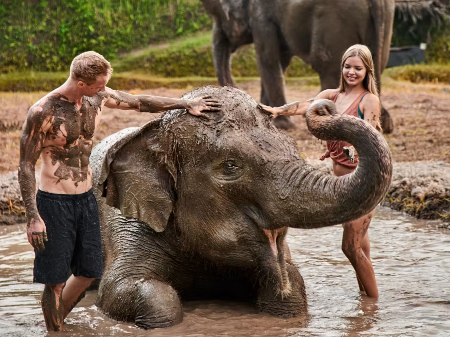Bali Zoo Private Experience Ticket