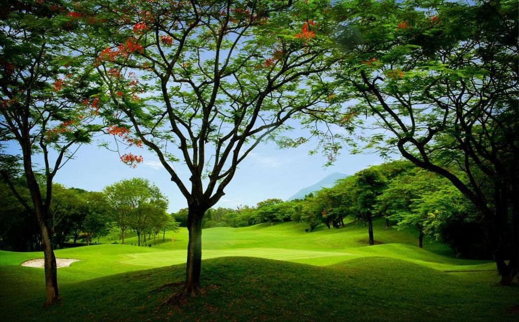 대만 가오슝 산호관 골프 클럽 - 그린피, 카트피, 캐디피 포함