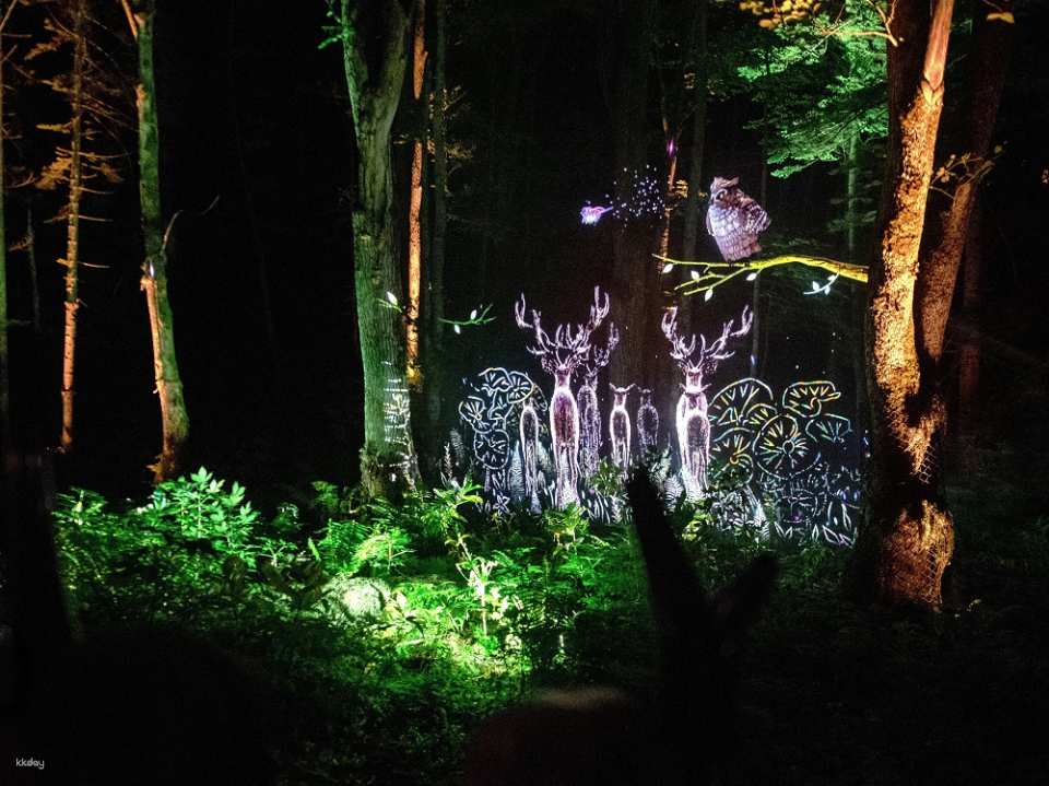 北海道『カムイ ルミナ』ナイトウォーク チケット