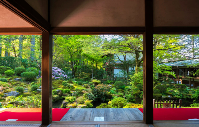 大阪・京都発：琵琶湖絶景日帰りツアー（展望台＆白鬚神社＆浮御堂）