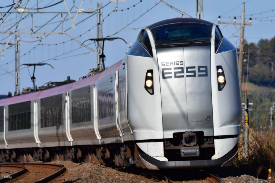Narita Express Round-Trip Ticket (Tokyo)