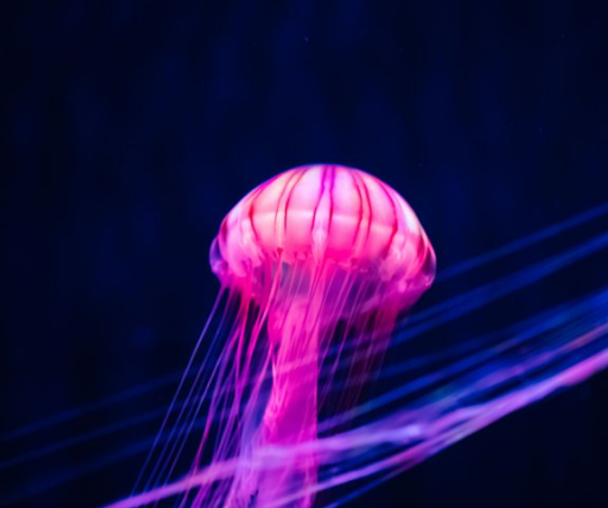 activity_detail_image