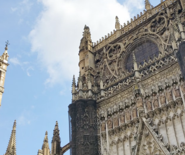 activity_detail_image