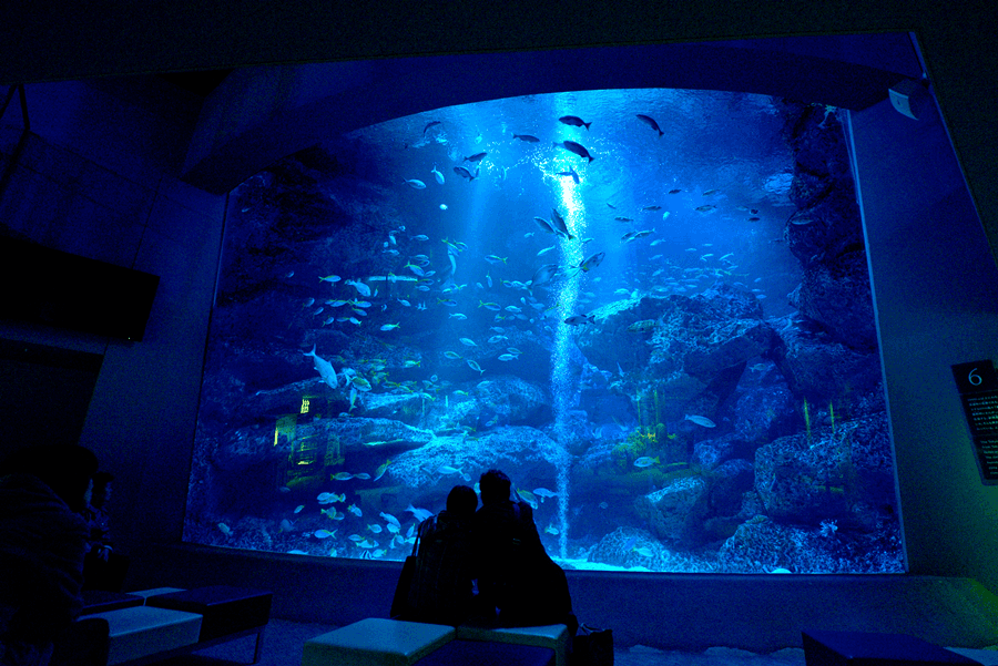 detail_image