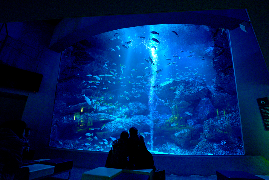 Tokyo Sumida Aquarium eTicket