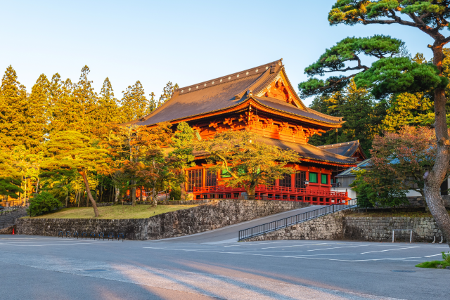 [Autumn Limited] Nikko Autumn Foliage Tour from Tokyo - Irohazaka, Toshogu Shrine & Kegon Falls