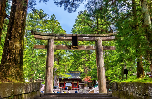 [Autumn Limited] Nikko Autumn Foliage Tour from Tokyo - Irohazaka, Toshogu Shrine & Kegon Falls