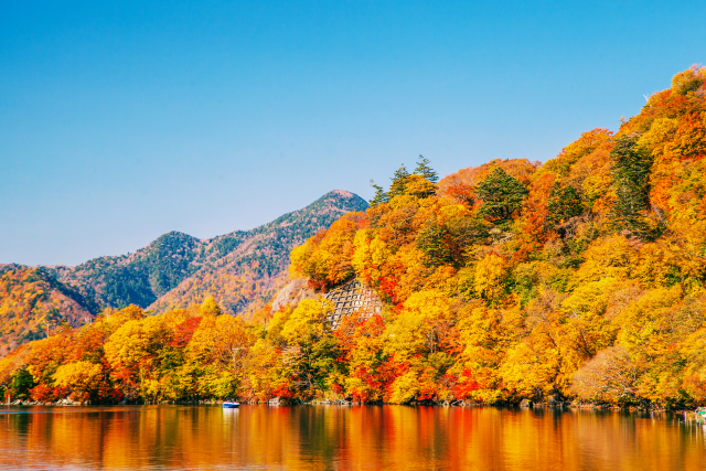 [Autumn Limited] Nikko Autumn Foliage Tour from Tokyo - Irohazaka, Toshogu Shrine & Kegon Falls