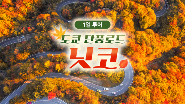 [Autumn Limited] Nikko Autumn Foliage Tour from Tokyo - Irohazaka, Toshogu Shrine & Kegon Falls