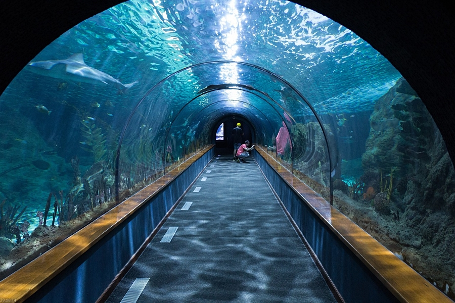 Sunshine Aquarium Ticket in Ikebukuro, Tokyo