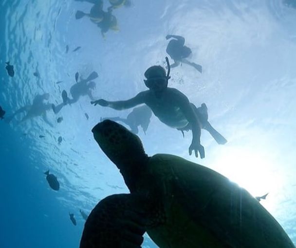 activity_detail_image