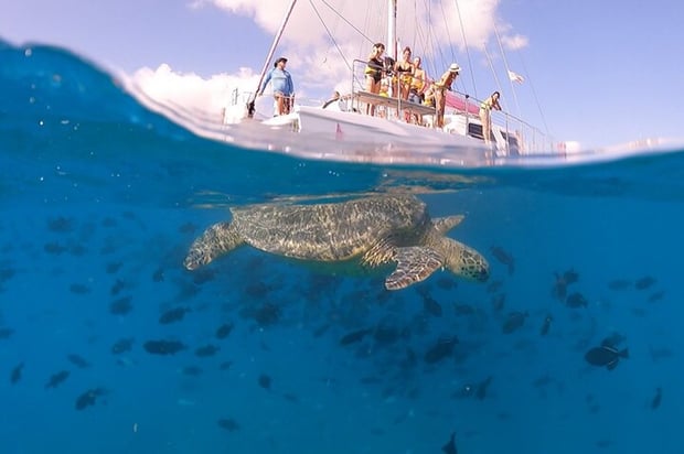 [Limited Time Offer] Oahu Hawaii Waikiki Turtle Snorkeling Adventure Sunset Cruise