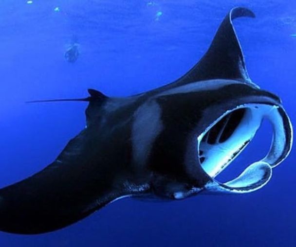activity_detail_image