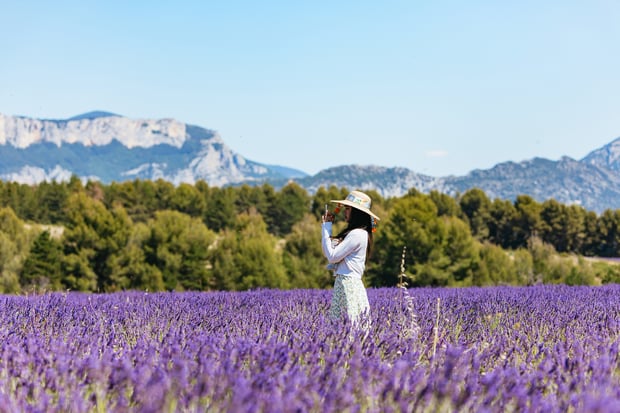 Nice: Verdon Gorge & Lavender Tour