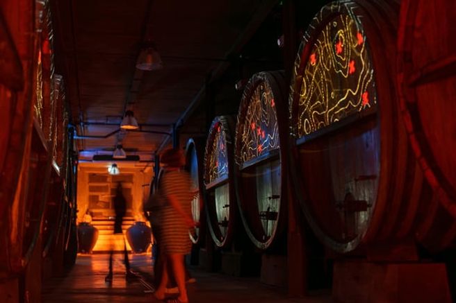 Alsace Wine Cellar Tour & Wine Tasting with a Guide