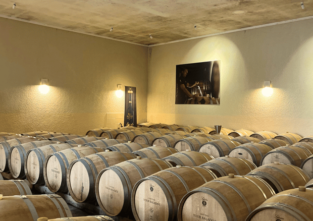 Bordeaux Unforgettable Saint-Émilion Half-Day Wine Tour