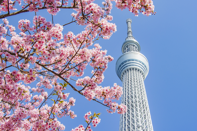 Tokyo Skytree Observatory Admission Ticket