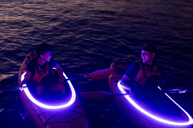 Sydney Harbour's First LED Sunset Kayak Tour