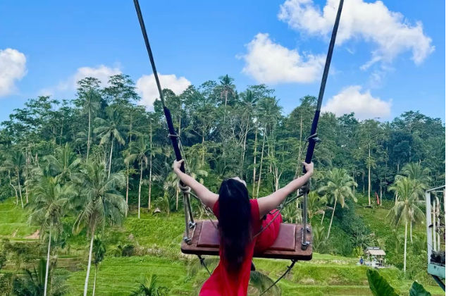 Bali: Kintamani Cafe, Cretya Ubud & Jungle Swing Tour