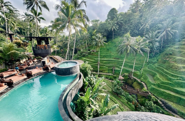 Bali: Kintamani Cafe, Cretya Ubud & Jungle Swing Tour