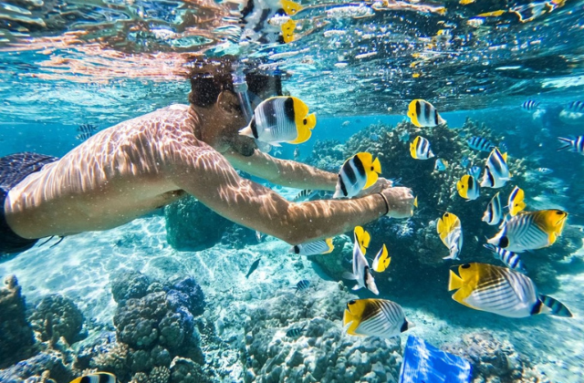 Bali Lovina Dolphin Watching & Snorkeling Day Tour