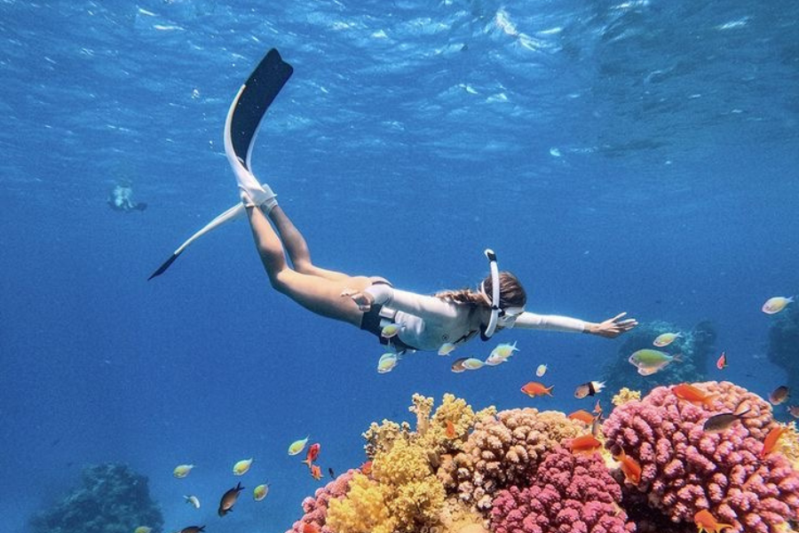 Bali Lovina Dolphin Watching & Snorkeling Day Tour
