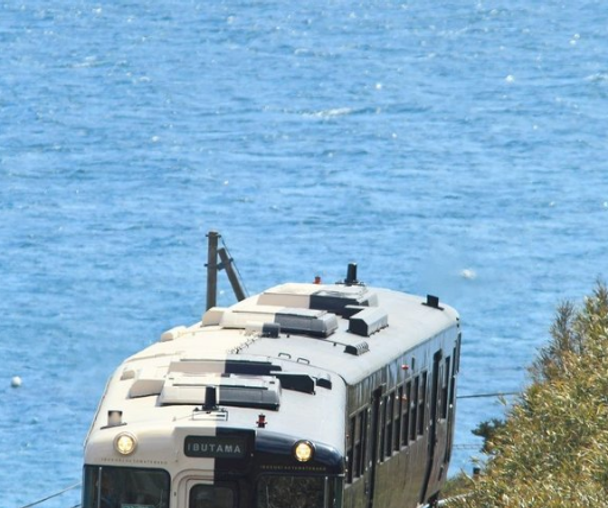 activity_detail_image