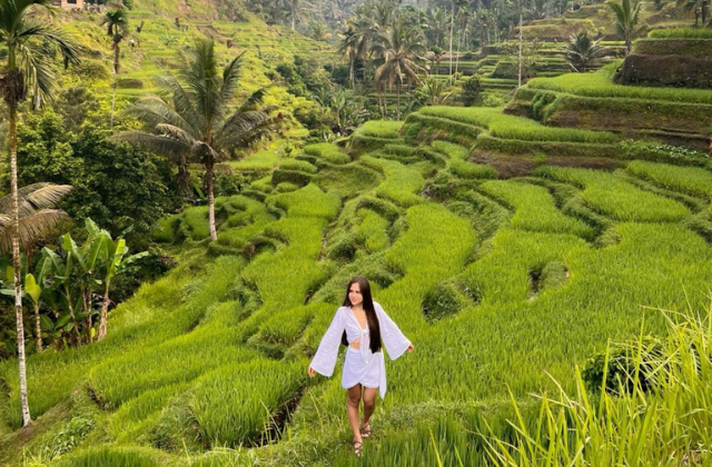 Ubud Bali River Tubing, Jungle Swing & Tegalalang Rice Terraces Day Tour