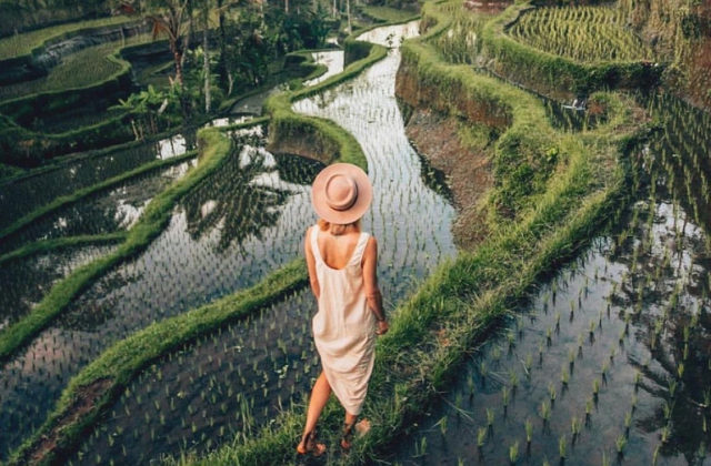 Ubud Bali River Tubing, Jungle Swing & Tegalalang Rice Terraces Day Tour