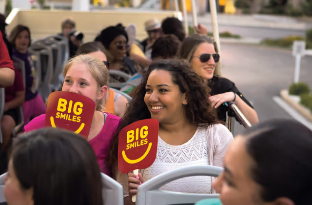 Miami Big Bus City Tour (24-Hour / 48-Hour / Everglades / Night Tour)