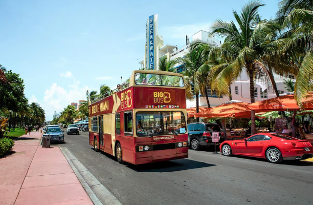 Miami Big Bus City Tour (24-Hour / 48-Hour / Everglades / Night Tour)