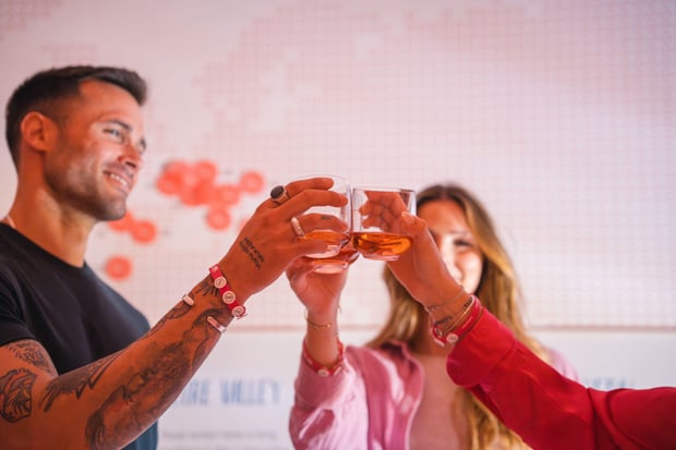 Porto Pink Palace - A Unique World of Rosé Wine