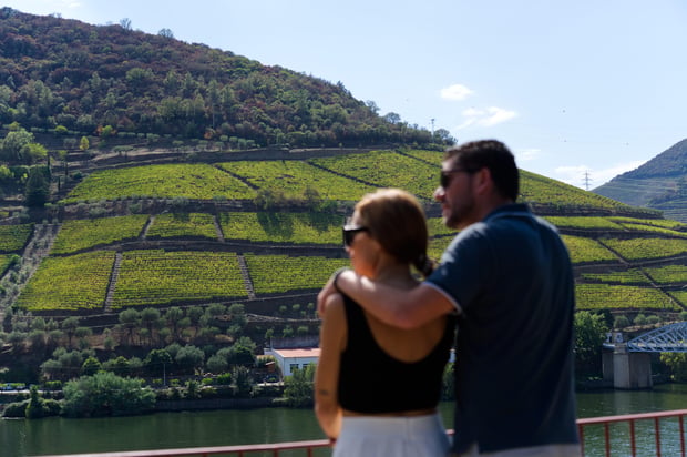 Porto Departure: Douro Valley & Amarante Wine Tour (River Cruise Included)
