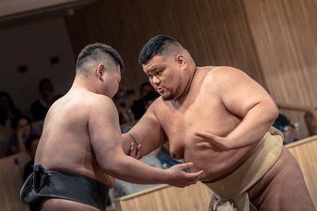 Tokyo Shinjuku Sumo Show & Experience (Includes Photo Op)