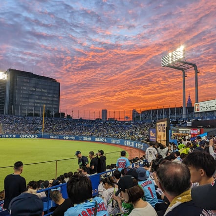 도쿄 일본 프로야구 경기 관람 - 현지 가이드 & 입장권 포함