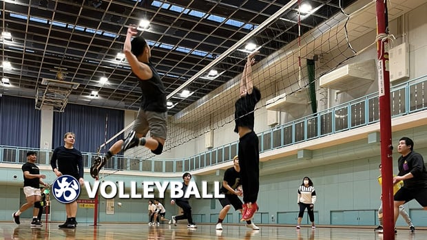 Volleyball Pickup Game with Locals in Osaka, Kyoto & Kobe