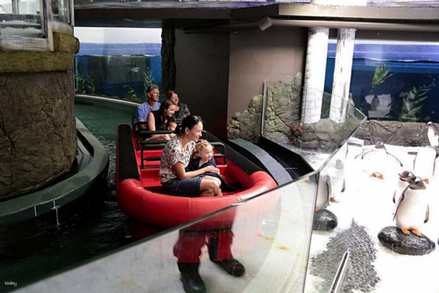 SEA LIFE Sydney Aquarium Admission Ticket + Digi Photo Pass Included