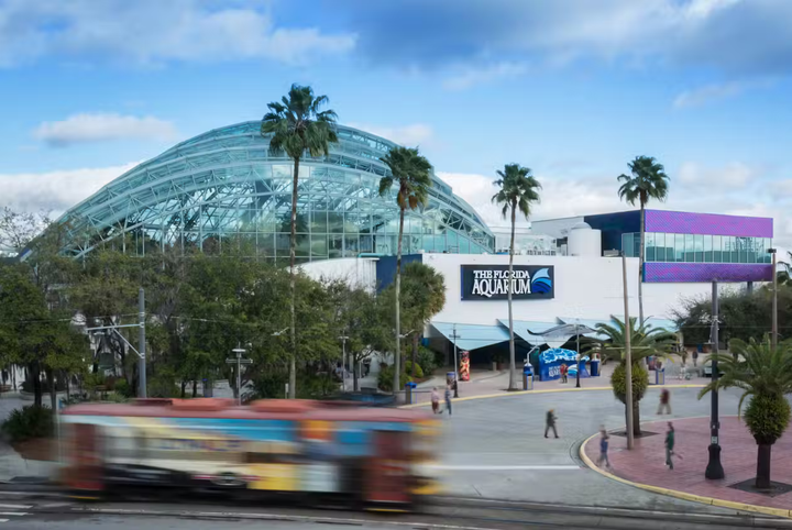 The Florida Aquarium Admission Ticket