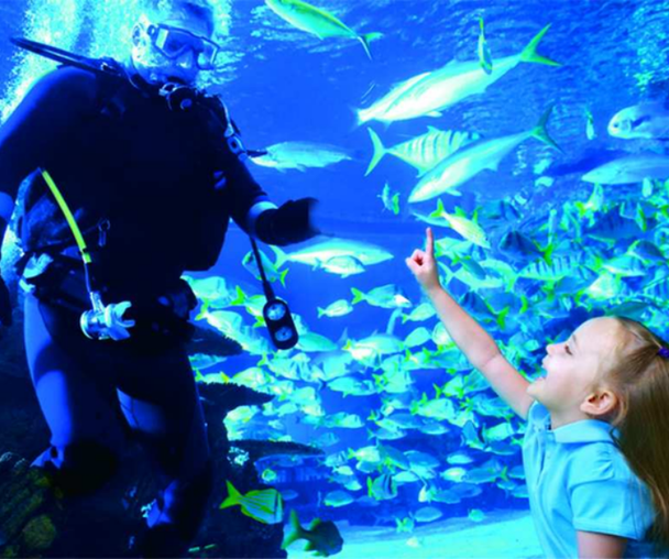 activity_detail_image