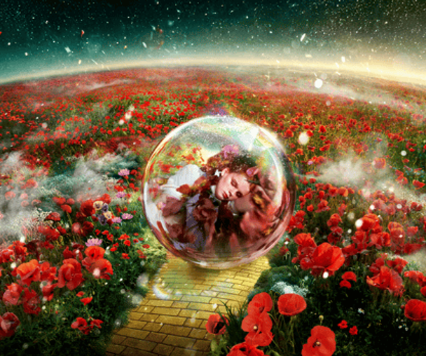 activity_detail_image