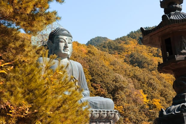 서울 출발 설악산 국립공원 가을 단풍 일일 투어 - 자유 트레킹
