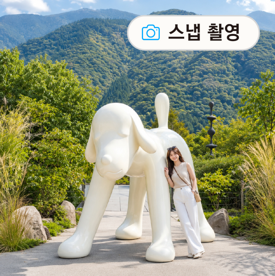 [히타 유후인 벳부] [전문사진작가동승] 1일 버스투어 간식, 입장료 포함 6가지 특전 유투어버스