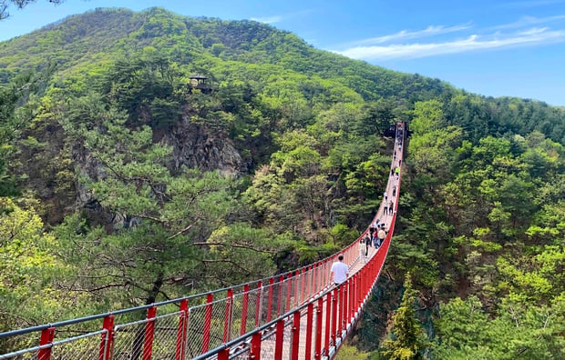 DMZ Tour from Seoul - Defector, 3rd Tunnel, Suspension Bridge & Hotel Pickup