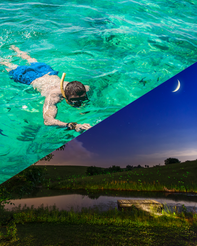 Kota Kinabalu Island Hopping & Firefly Cruise Combo Tour