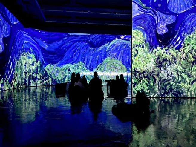 Budapest Van Gogh Immersive Exhibition Ticket