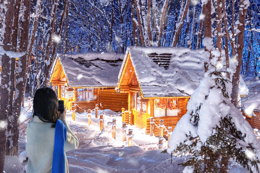 Hokkaido Scenic Day Tour from Sapporo (Asahiyama Zoo, Blue Pond, Ninguru Terrace)