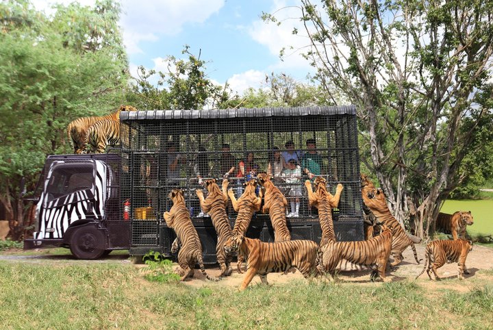 Bangkok Safari World Full Day Private Tour (Morning Departure)