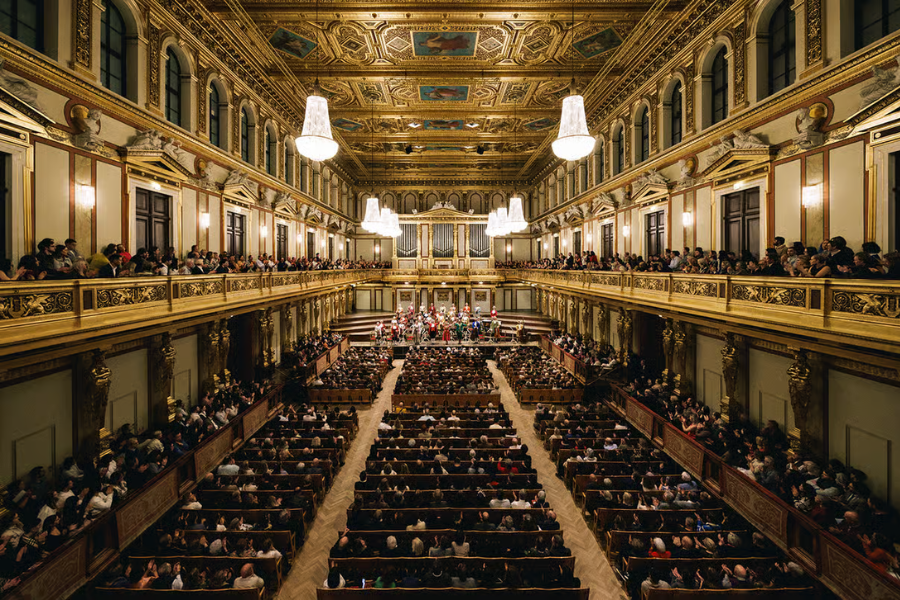 Vienna: Mozart Orchestra Concert Ticket (Musikverein)